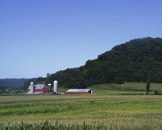 dairy.jpg (25038 bytes)