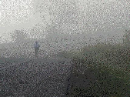 fog.jpg (36753 bytes)