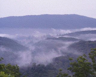 smokey.jpg
