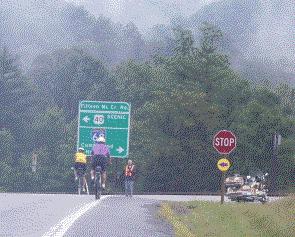 traffic.jpg