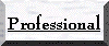 Professional Info