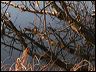 fallreflection0432