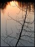 fallreflection0457