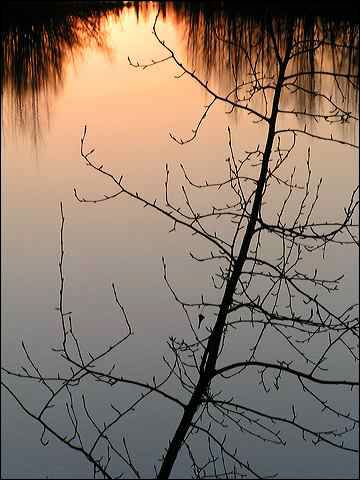 fallreflection0457.jpg