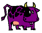 a purple cow