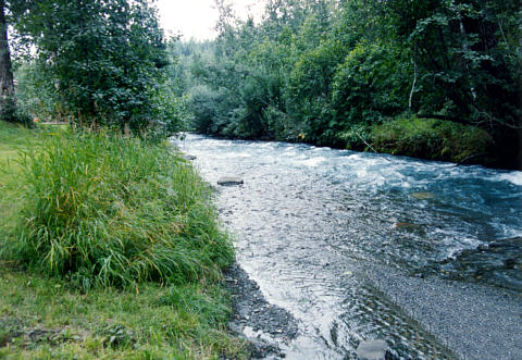 Peters Creek.jpg (60132 bytes)