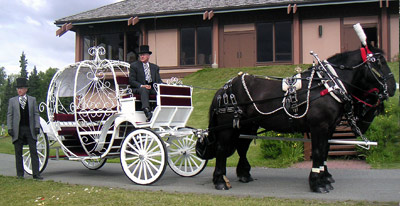 For weddings and special events our new Cinderella Carriage.  Call for rates