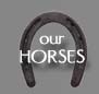 Our Horses