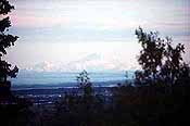 View of Denali