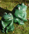frog31.jpg (35594 bytes)