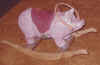 pig8.jpg (25811 bytes)