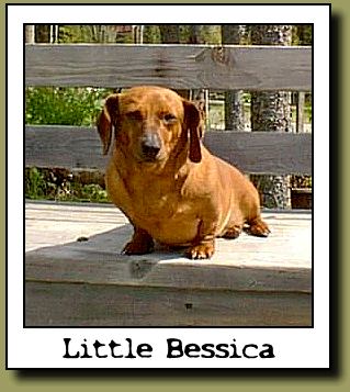 Little Bessica