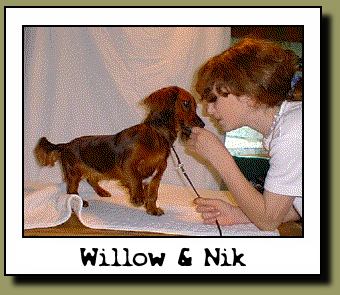 Willow & Nikki