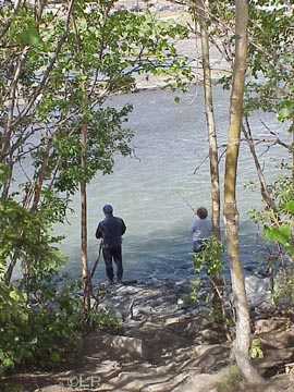 Fishermen framed by trees