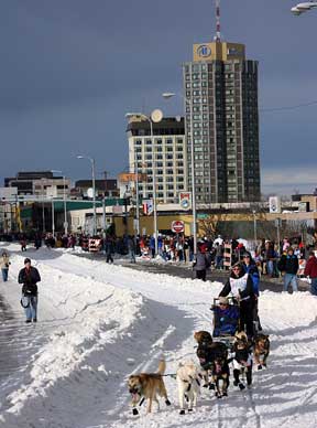 An Iditarod musher leaves downtown Anchorage