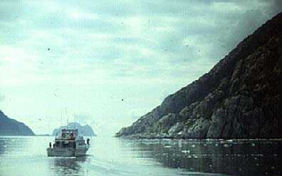 Cruise boat in fjord