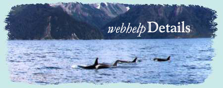 Killer whales and webhelp