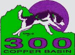Copper Basin 300