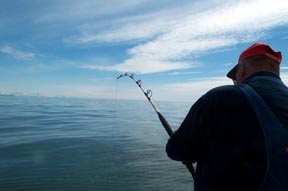 fish4.jpg