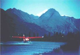 beaver on floats