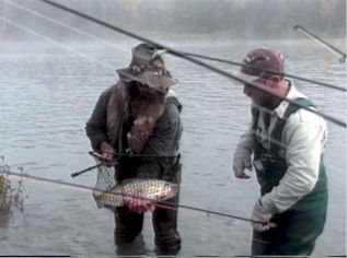 fish in the net