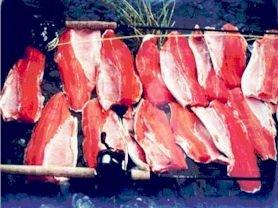 one days catch