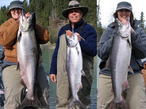 Kasilof River king salmon caught 5/26/11