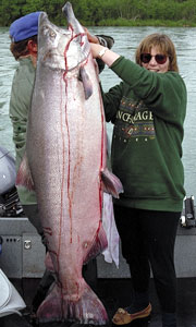 Another Trophy Kenai King