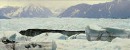 Colony Glacier