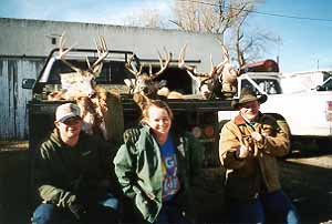 02wy03.jpg - 20840 Bytes