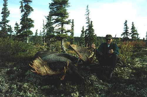 3moose.jpg - 31801 Bytes