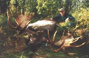 97moose1.jpg - 13195 Bytes