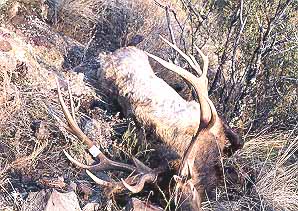 gtsee11.jpg - 43022 Bytes