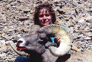 gtsee24.jpg - 24885 Bytes