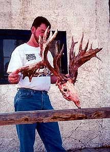 gtsee25.jpg - 23616 Bytes