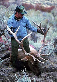 gtsee30.jpg - 35011 Bytes