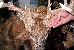 gtsee34.jpg - 25401 Bytes