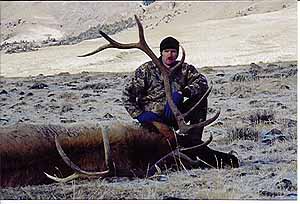 gtsee36.jpg - 26017 Bytes