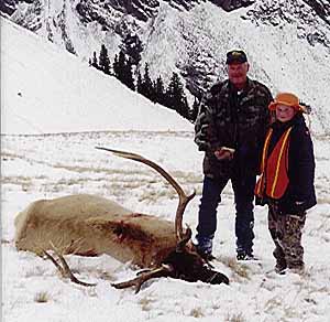 gtsee37.jpg - 32346 Bytes