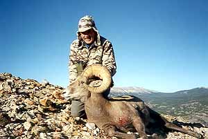 gtsee41.jpg - 22156 Bytes