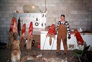 gtsee42.jpg - 22087 Bytes