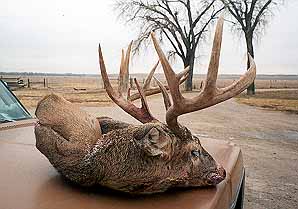 gtsee44.jpg - 23566 Bytes