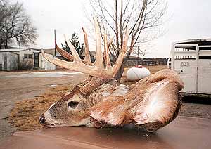 gtsee45.jpg - 24368 Bytes