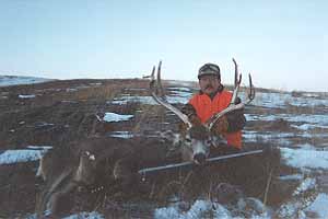 gtsee47.jpg - 14172 Bytes