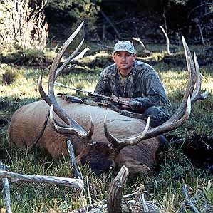 gtsee58.jpg - 44429 Bytes