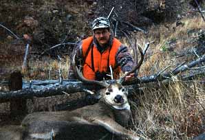 gtsee63.jpg - 25556 Bytes