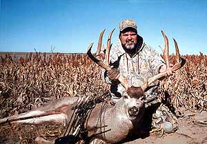 gtsee74.jpg - 31646 Bytes