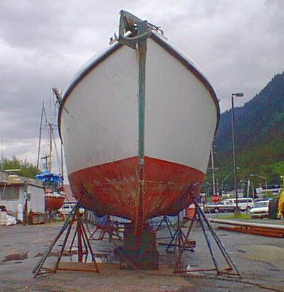 haulout photo
