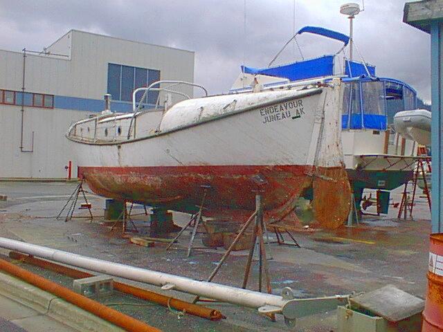 haulout photo