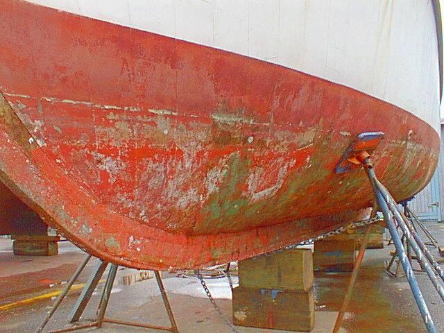 haulout photo